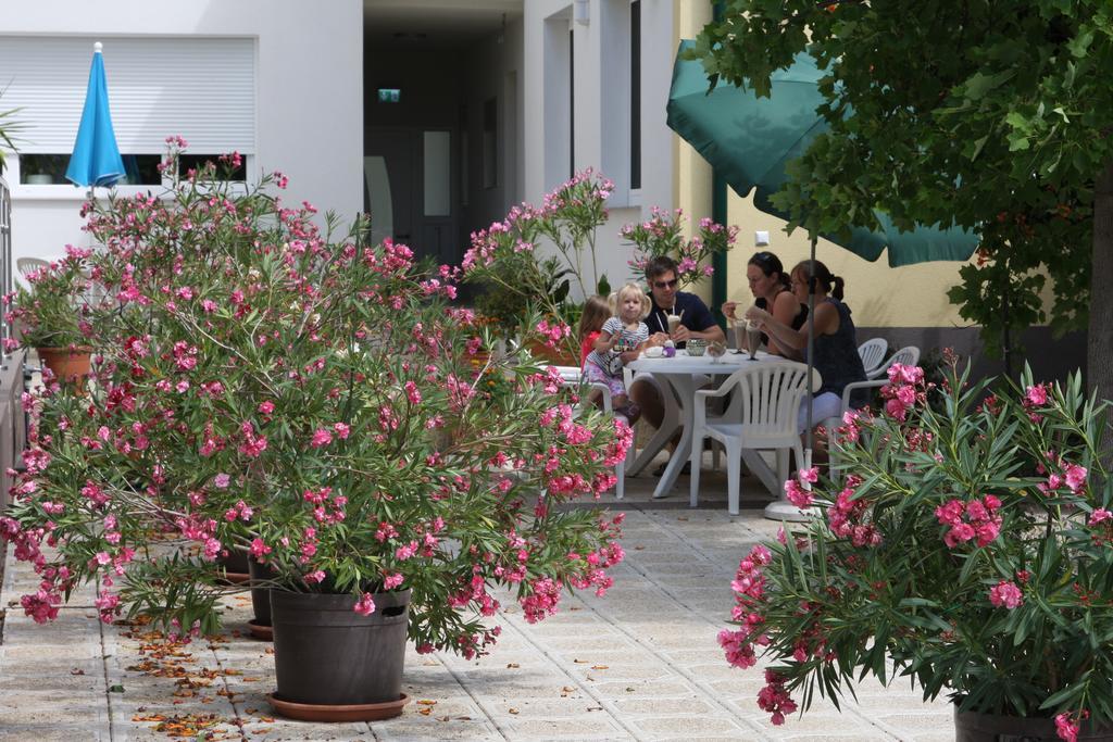 Pension & Weingut Storchenblick Illmitz Ngoại thất bức ảnh